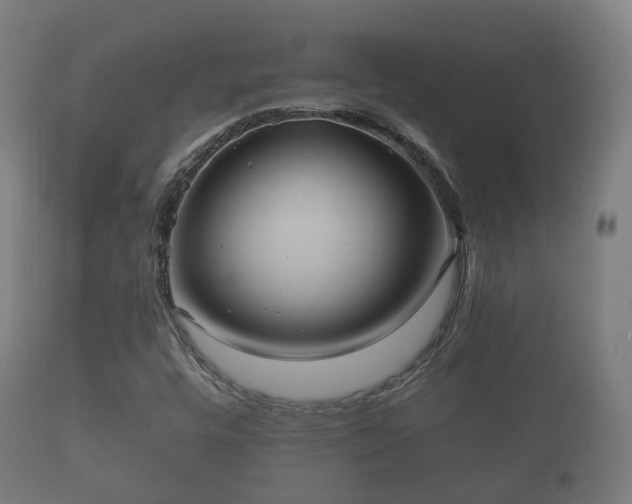 X0000112351448200908201429