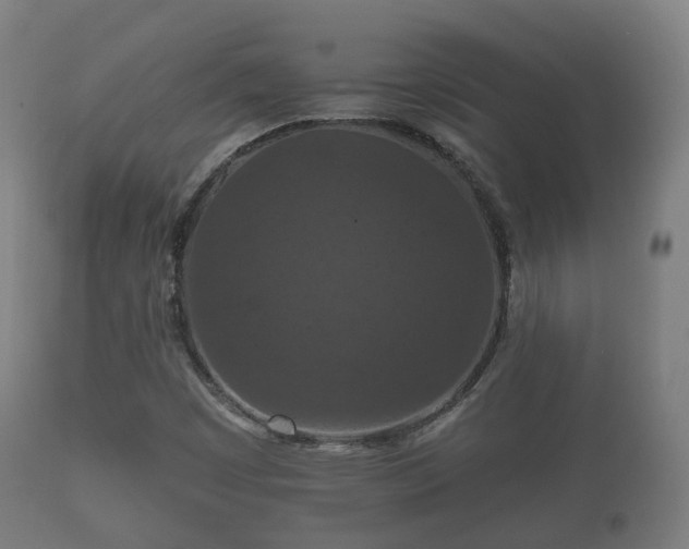 X0000112351449200908201429