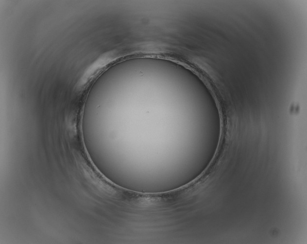 X0000112351451200908201429