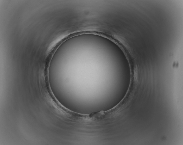 X0000112351452200908201429