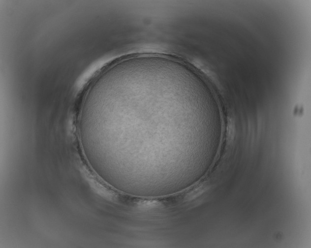 X0000112351454200908201429