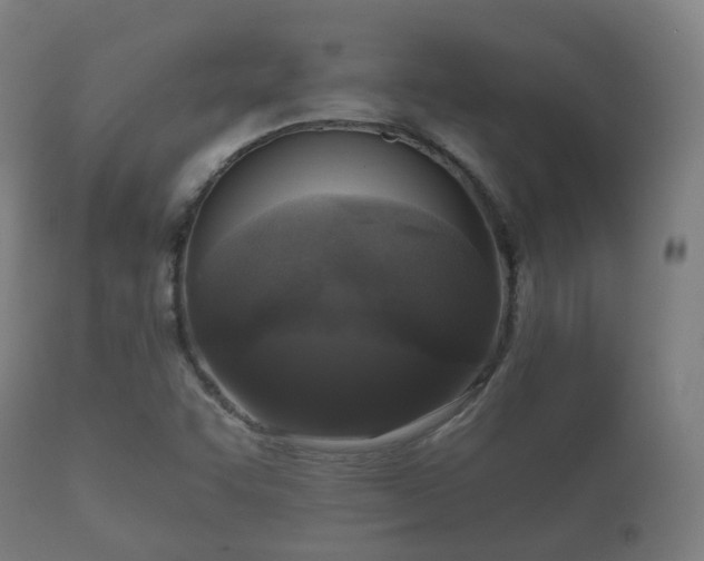 X0000112351455200908201429