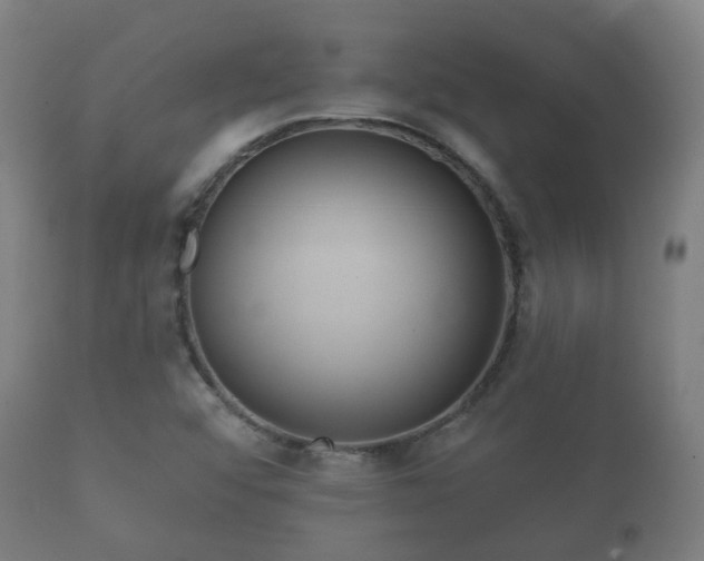 X0000112351456200908201429