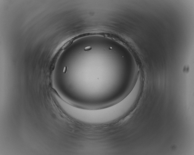 X0000112351457200908201429