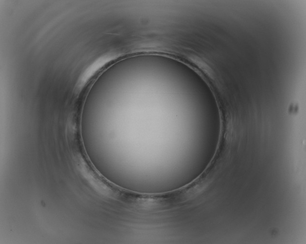 X0000112351458200908201429