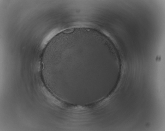 X0000112351459200908201429