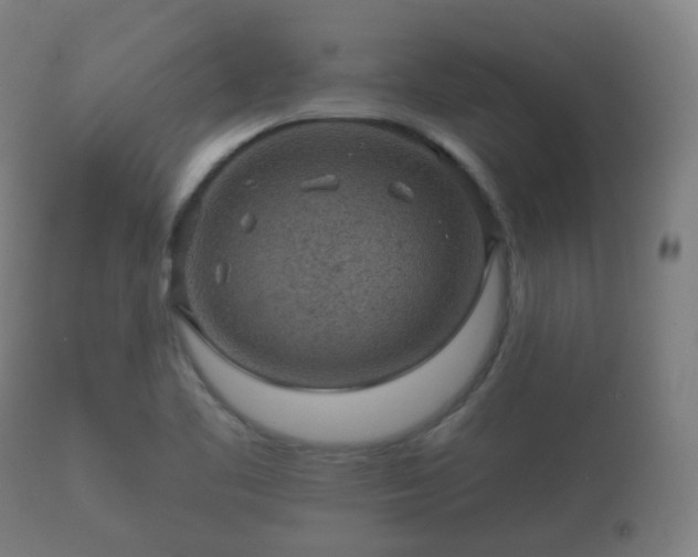 X0000112351461200908201429
