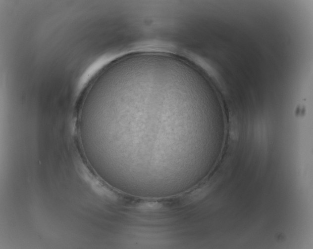 X0000112351462200908201429