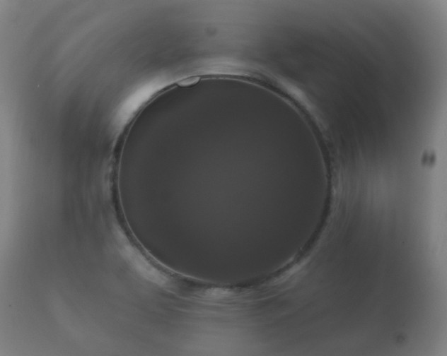 X0000112351463200908201429