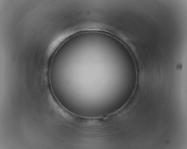 X0000112351464200908201429