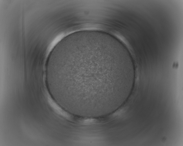 X0000112351467200908201429