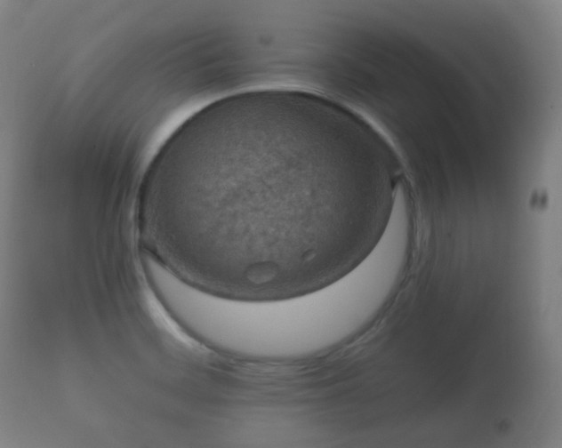 X0000112351468200908201429