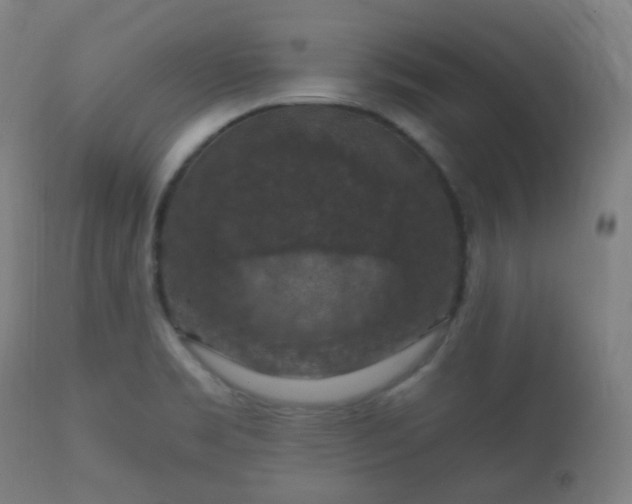 X0000112351469200908201429