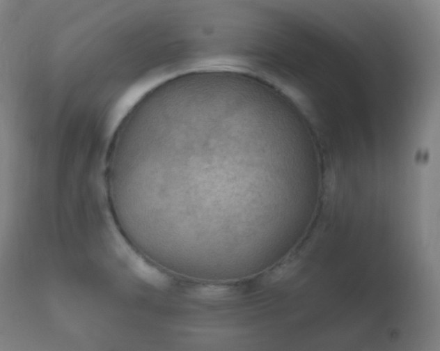 X0000112351470200908201429