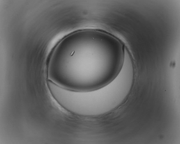 X0000112351472200908201429