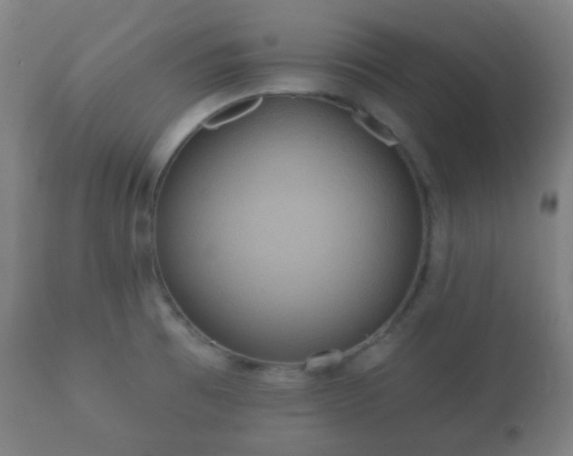 X0000112351473200908201428