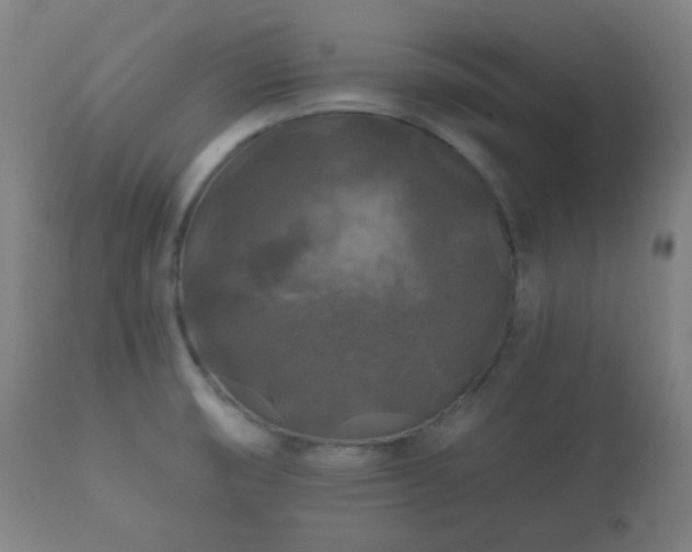 X0000112351474200908201428