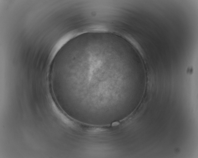 X0000112351475200908201428