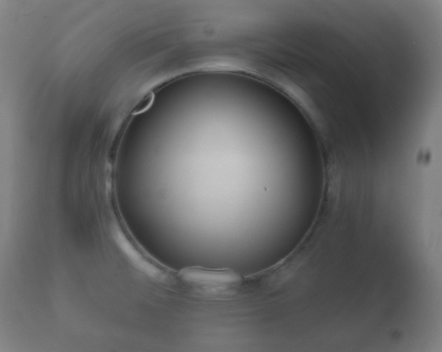 X0000112351476200908201428