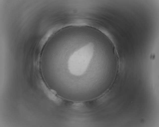 X0000112351477200908201428