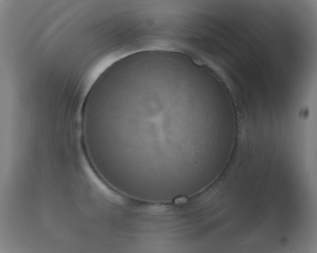 X0000112351479200908201428