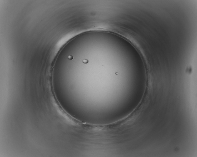 X0000112351480200908201428