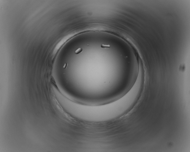 X0000112351481200908201428