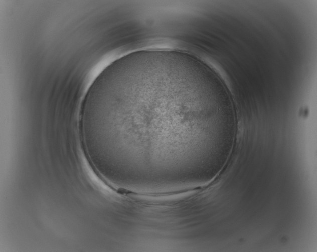 X0000112351483200908201428