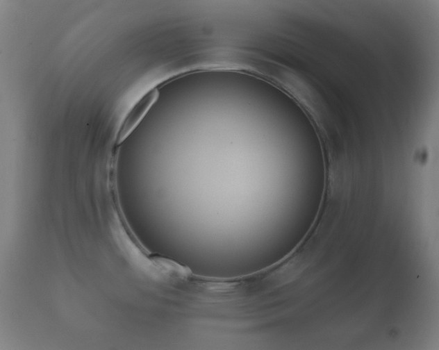 X0000112351484200908201428