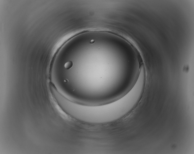 X0000112351485200908201428
