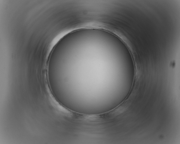 X0000112351486200908201428
