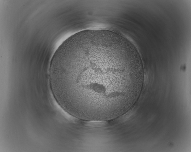 X0000112351487200908201428