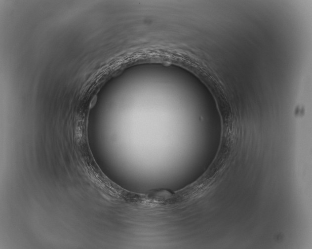 X0000112351490200908201427