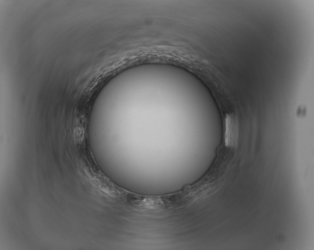 X0000112351491200908201427