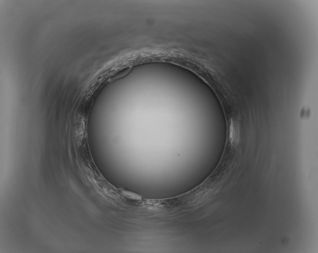 X0000112351492200908201427