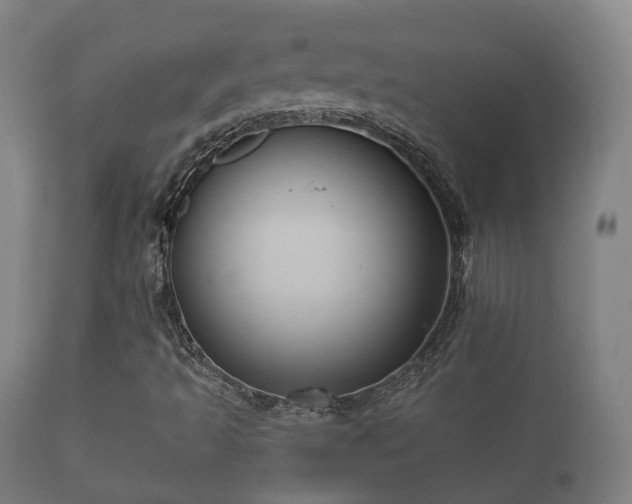 X0000112351493200908201427