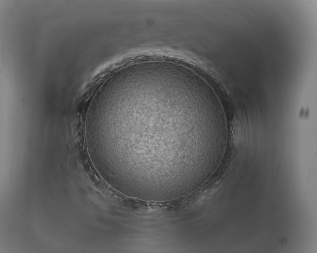 X0000112351494200908201427