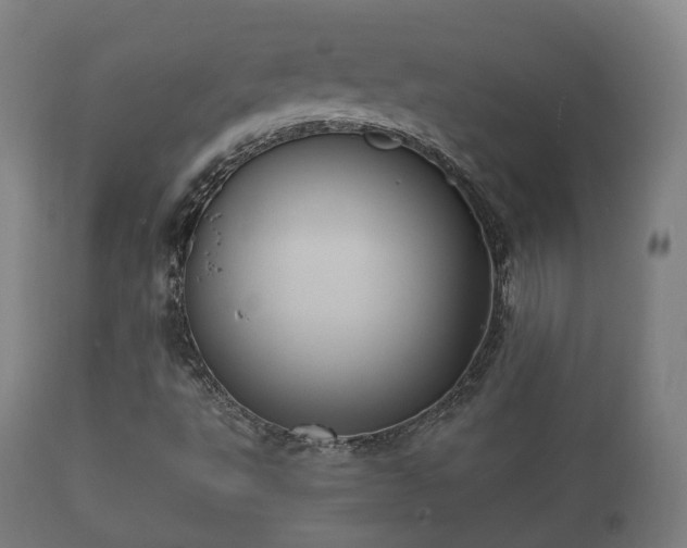 X0000112351495200908201427