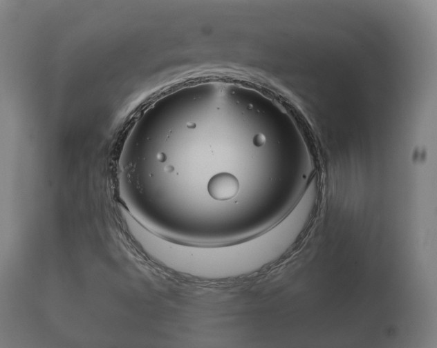 X0000112351496200908201427