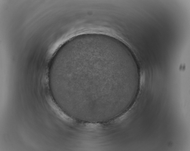 X0000112351498200908201427