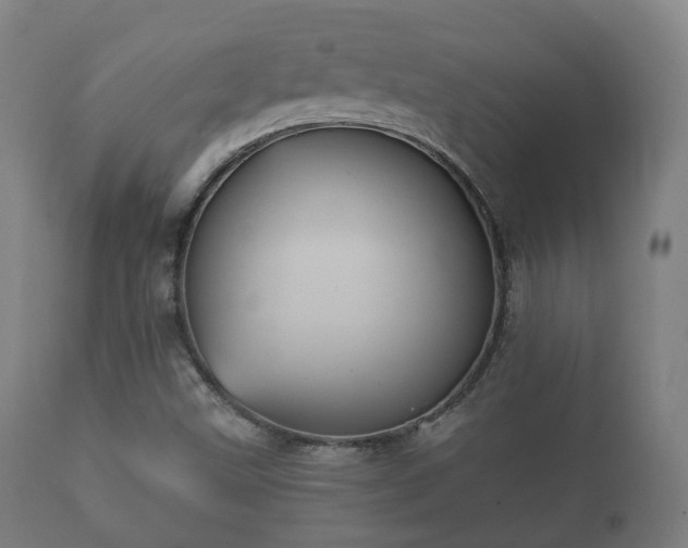 X0000112351499200908201427