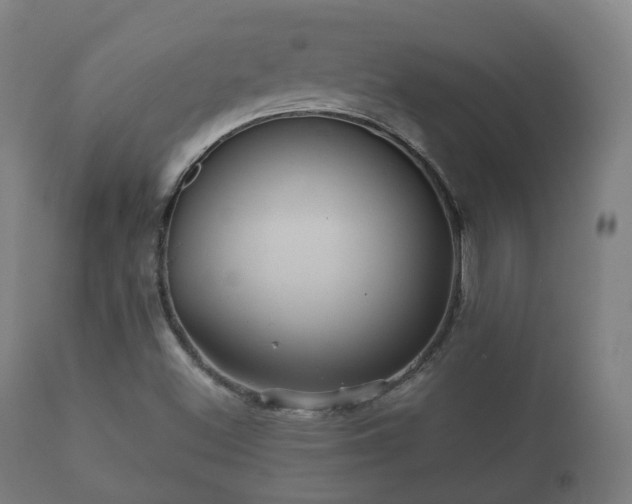 X0000112351500200908201427