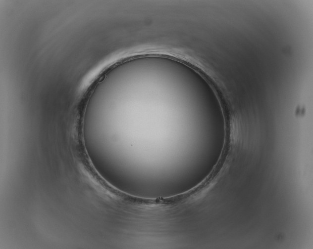 X0000112351502200908201427