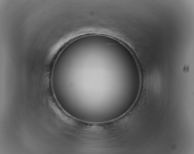 X0000112351503200908201427