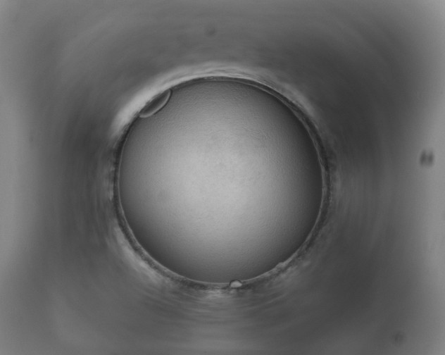 X0000112351504200908201427