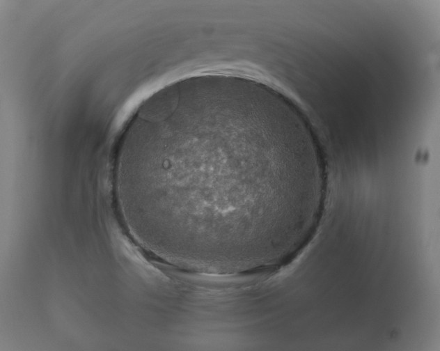 X0000112351506200908201428