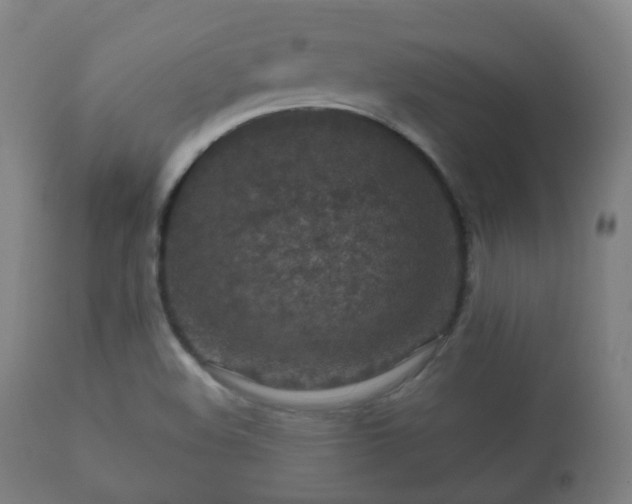 X0000112351508200908201428