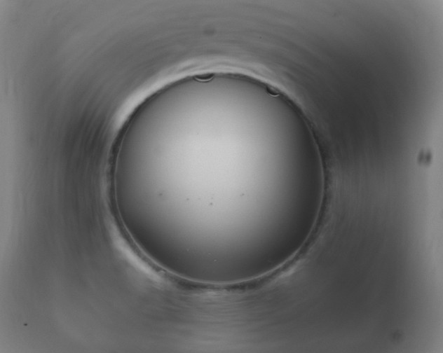 X0000112351518200908201428