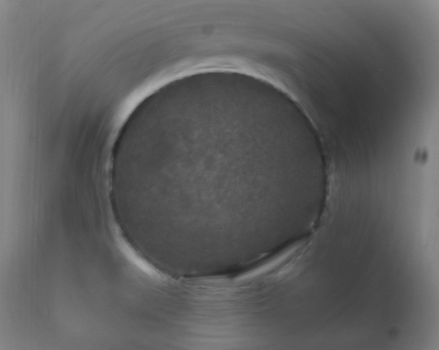 X0000112351519200908201428