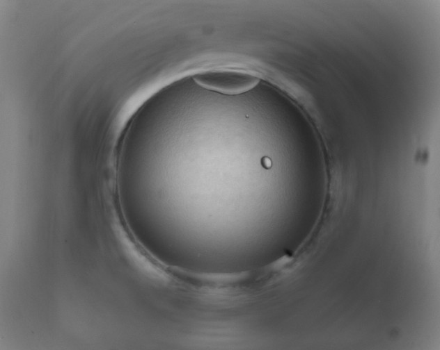 X0000112351520200908201428
